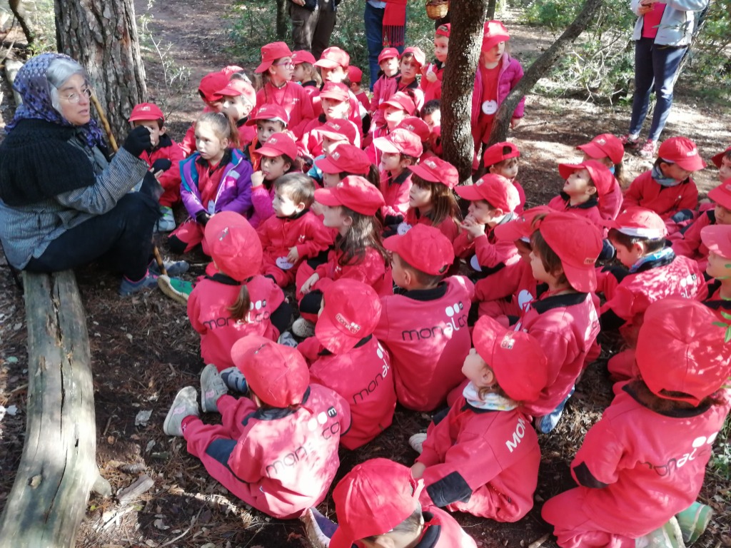 Veure CASTANYADA A CAN PUIG 