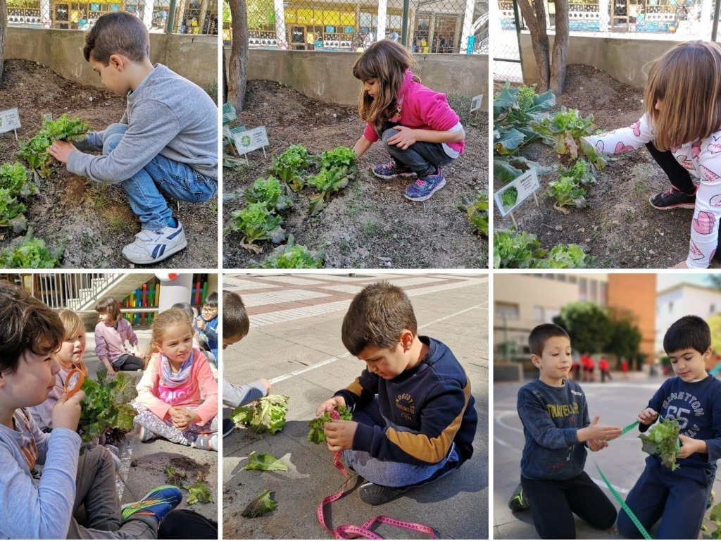 Veure Dia a l'hort de l'escola